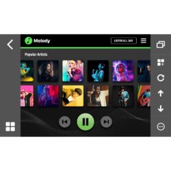 هدیونیت تصویری پایونیر Pioneer DMH-AP6650BT Spotify