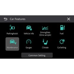 هدیونیت تصویری پایونیر Pioneer DMH-AP6650BT Car