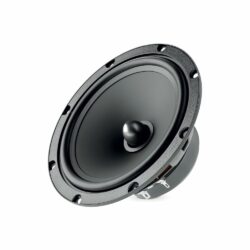 Focal ASE 165 Woofer membrane