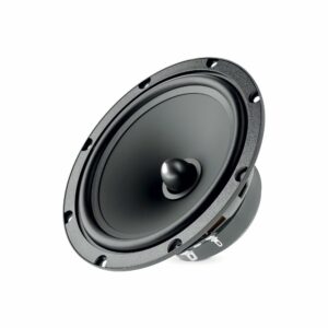 Focal ASE 165 Woofer membrane