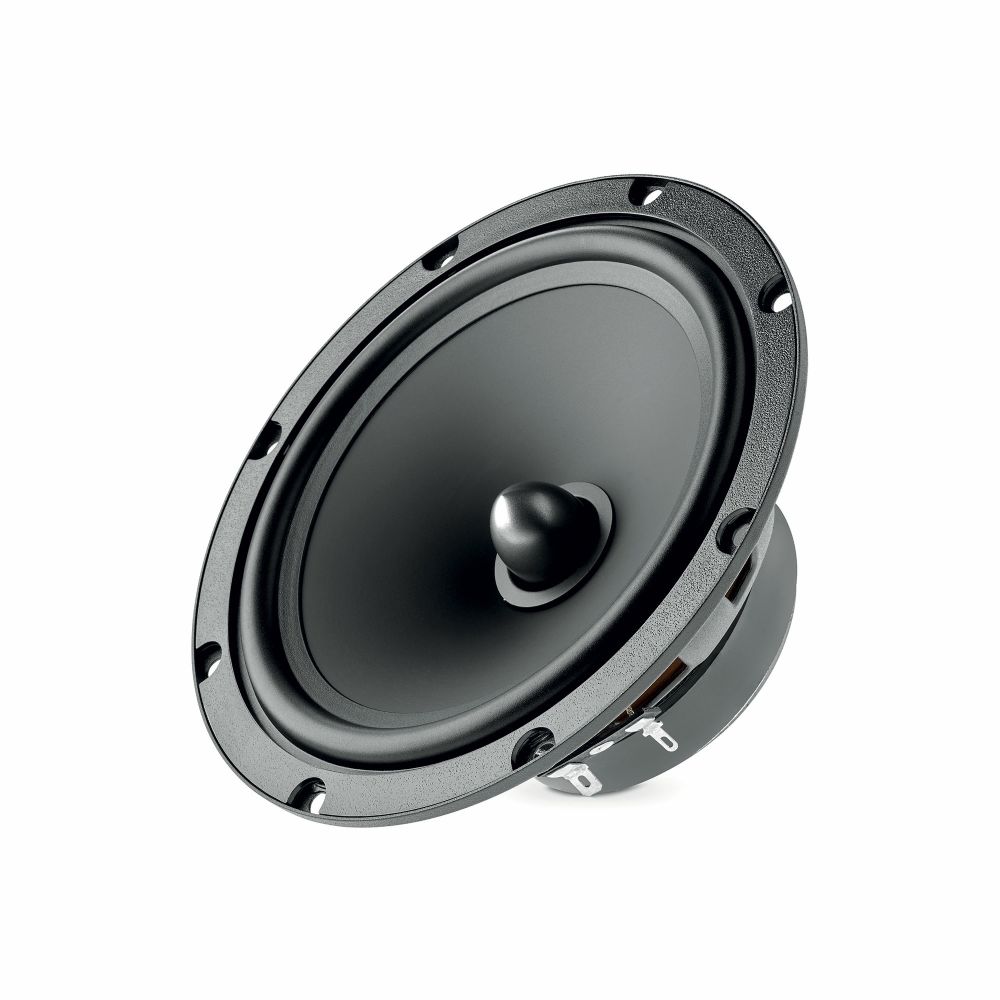 Focal ASE 165 Woofer membrane