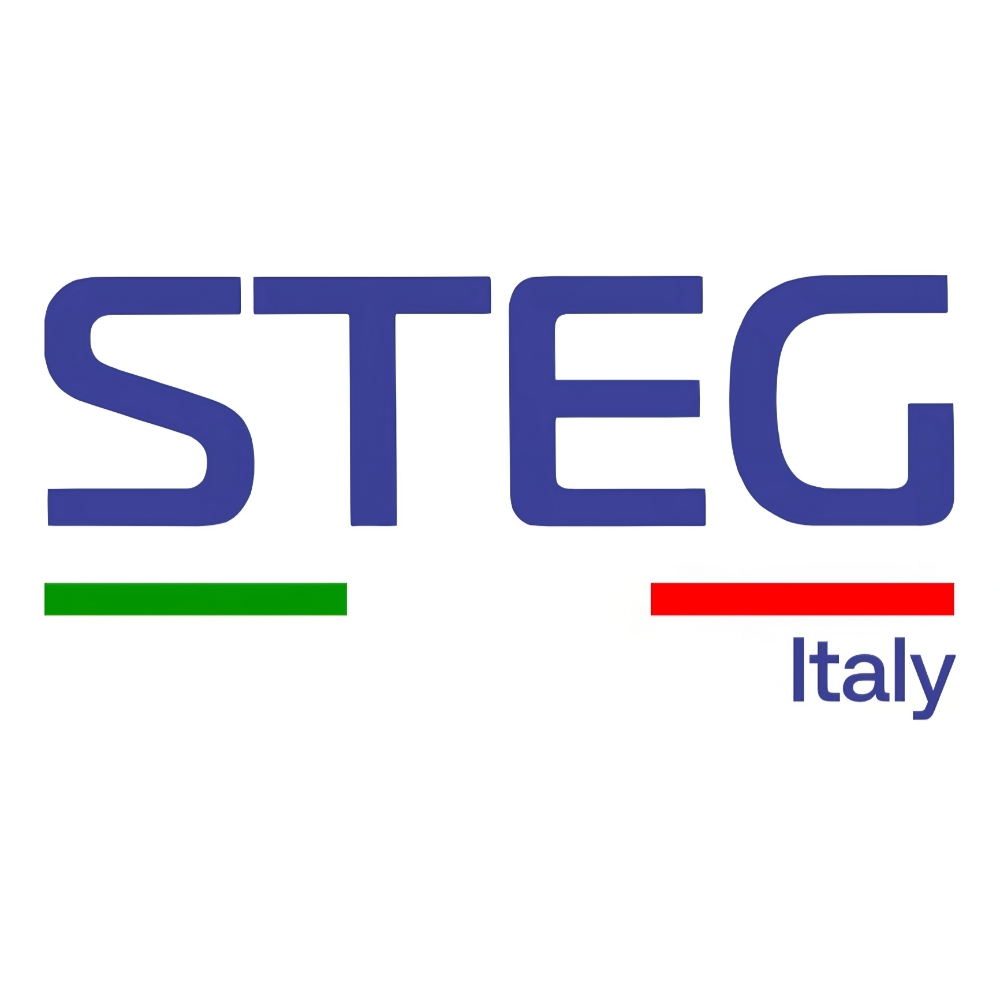 استگ STEG