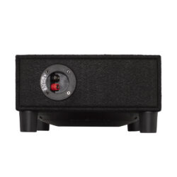 ساب باکس پایونیر Pioneer TS-A2500LB Terminal